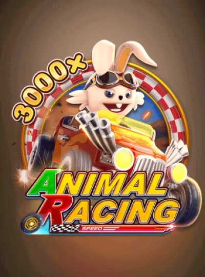 ko365 ko365